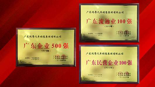 喜讯!合肥兴辉高技能人才培训有限公司上榜广东企业500强等三大榜单(图2) 喜讯!合肥兴辉高技能人才培训有限公司上榜广东企业500强等三大榜单(图2)